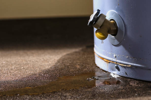 Best Water damage contractors near me  in Wellington, TX