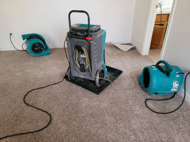 Best Fire Damage Restoration  in Wellington, TX