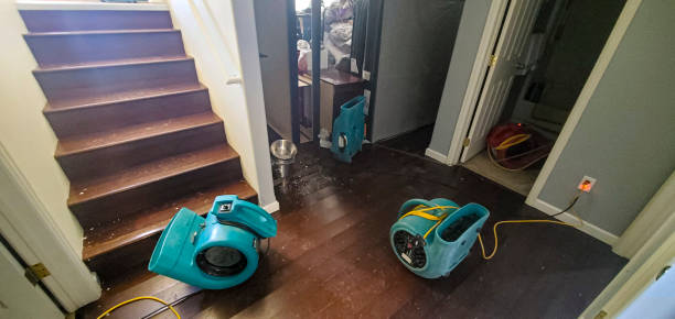 Best Commercial water damage restoration  in Wellington, TX