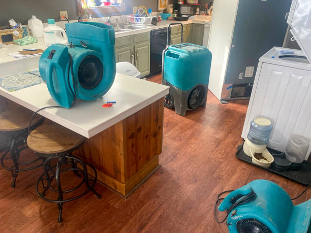 Best Fire Damage Restoration  in Wellington, TX