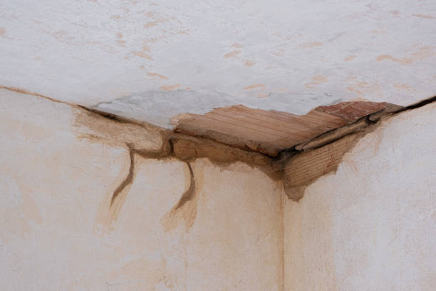 Best 24/7 water damage repair  in Wellington, TX