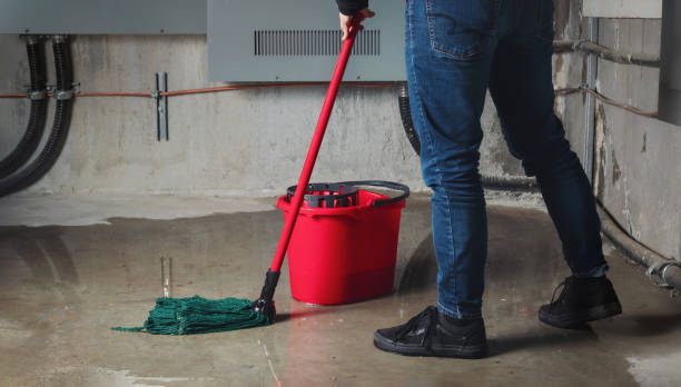  Wellington, TX Water damage restoration Pros