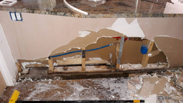 Best Water damage restoration cost  in Wellington, TX