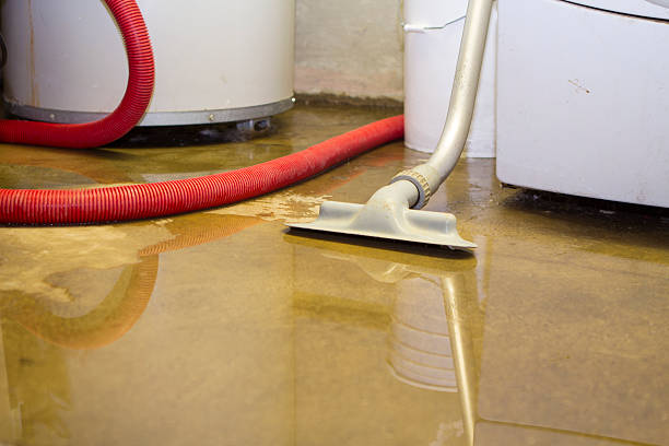 Best Professional water damage repair  in Wellington, TX
