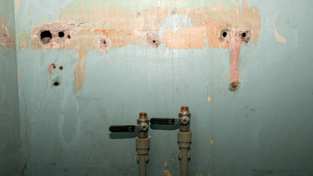 Best Emergency water damage restoration  in Wellington, TX