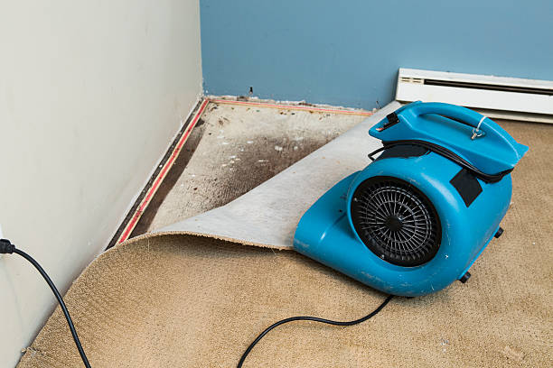 Water damage restoration process in Wellington, TX